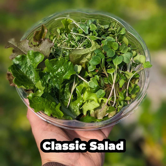 Classic Salad