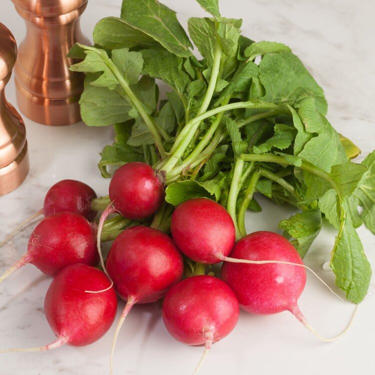 Red Radishes - Pint (no greens)