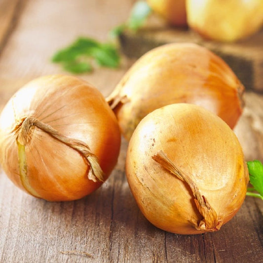 2 Onions - Red/Spanish